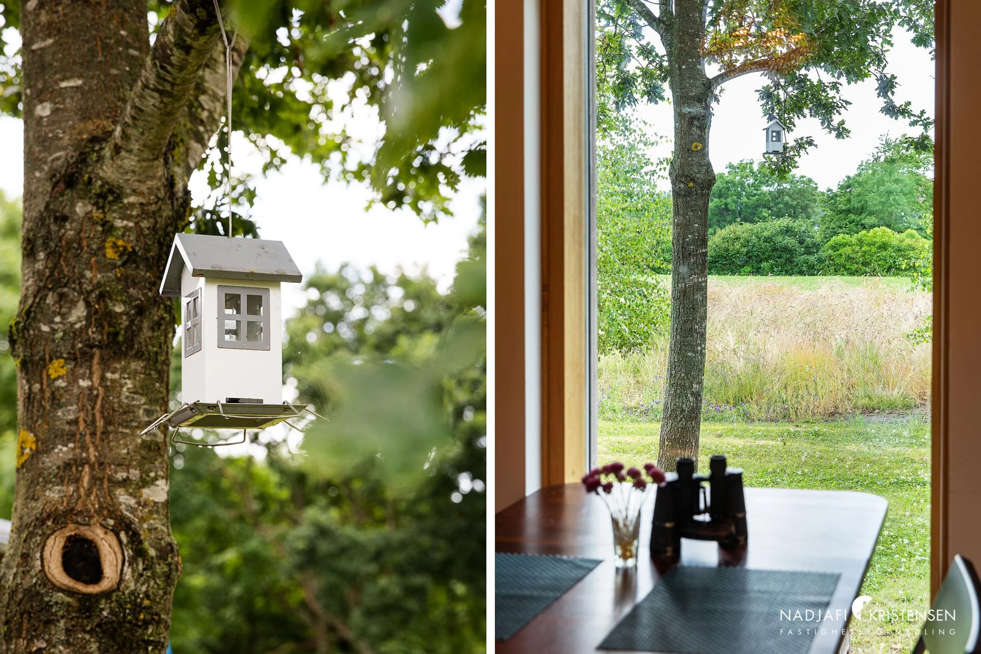 The bird feeder outside the window