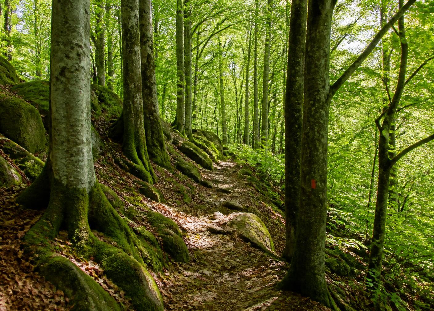 Hike Hallandsåsen